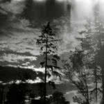 TheBCExperience_StanleyPark