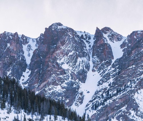 Northeast Rockies